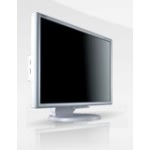 NEC MS LCD1970NXp