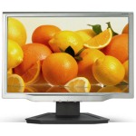 Acer AL1923Wt