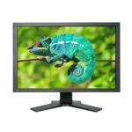 EIZO ColorEdge CG242W液晶显示器