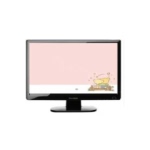 Envision P951w