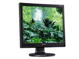 Great WallM172液晶显示器图片