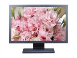 BenQ FP222W
