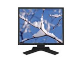 EIZO FlexScan S1921