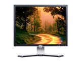 DELL 2007FP