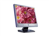 BenQ FP556ms