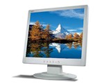 Acer AL1912WL
