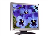 BenQT705液晶显示器图片