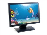 BenQFP202W液晶显示器图片