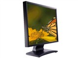 BenQFP93G液晶显示器图片