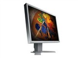 EIZO FlexScan S2100