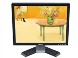 DELL E196FP