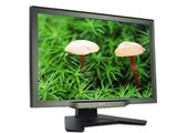Acer AL2623W