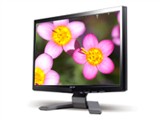 Acer P223W