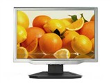 Acer AL1923Wt