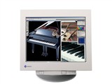 EIZO FlexScan T966