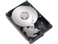 Maxtor 500G/DiamondMax 22/SATA II/32M/散(STM3500320AS)