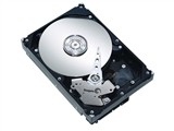 希捷 1TB/7200.11/32M/串口(ST31000333AS)
