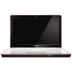 ���� IdeaPad Y550(A-PSE��)