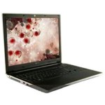 LG P510(UP98K)