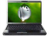 东芝 Satellite M300(M361银色)笔记本