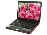 东芝 Satellite M300(M363红色)