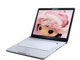 SONY VGN-FE35C