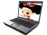 惠普 Compaq Presario V3173TU(RM558PA)