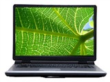 神舟优雅HP920笔记本图片