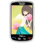 BlackBerry Storm 9530手机