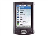 Palm TX