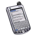 Palm Tungsten W
