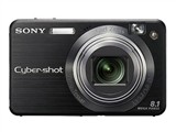SONY W130