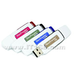 Kingston DataTraveler(2GB)