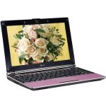 华硕 Eee PC S101(粉色)上网本