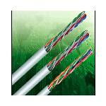 AMPSX 六类双绞线(0.5/纯铜)