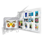 ACDACDSee 1.6 for Mac图像软件图片