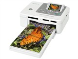 SONYDPP-FP70热升华照片打印图片