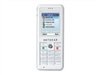 NETGEAR Skype WiFi 电话 SPH101网络电话