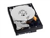 西部数据 2TB/7200转/64M/串口(WD2002FYPS)硬盘
