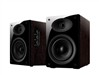 惠威 D1010MKII 08版音箱