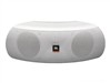 JBL Control NOW AW(户外版)音箱