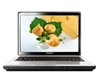 联想 3000 G430M-TFO(H)笔记本