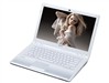 SONY CW15EC/WU笔记本