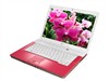 富士通 LifeBook L1010-ACS0D10092(粉漾红)笔记本