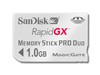 SanDisk RapidGX Memory Stick PRO (1GB)闪存卡