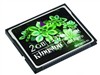 Kingston CF 133X(2GB)闪存卡