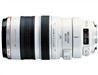 佳能 EF 100-400mm f/4.5-5.6L IS USM镜头
