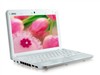 MSI Wind U100(N270/1GB/80GB/XP Home)上网本