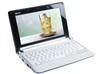 Acer Aspire One A150-AW(G3)上网本