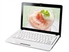 华硕 EeePC 1001HA 160G LX上网本